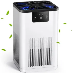 ALROCKET BMJH06 Air Purifier, with H13 True HEPA Filter, Remove 99.9% Smoke Dust Allergies for 300 SQ.ft