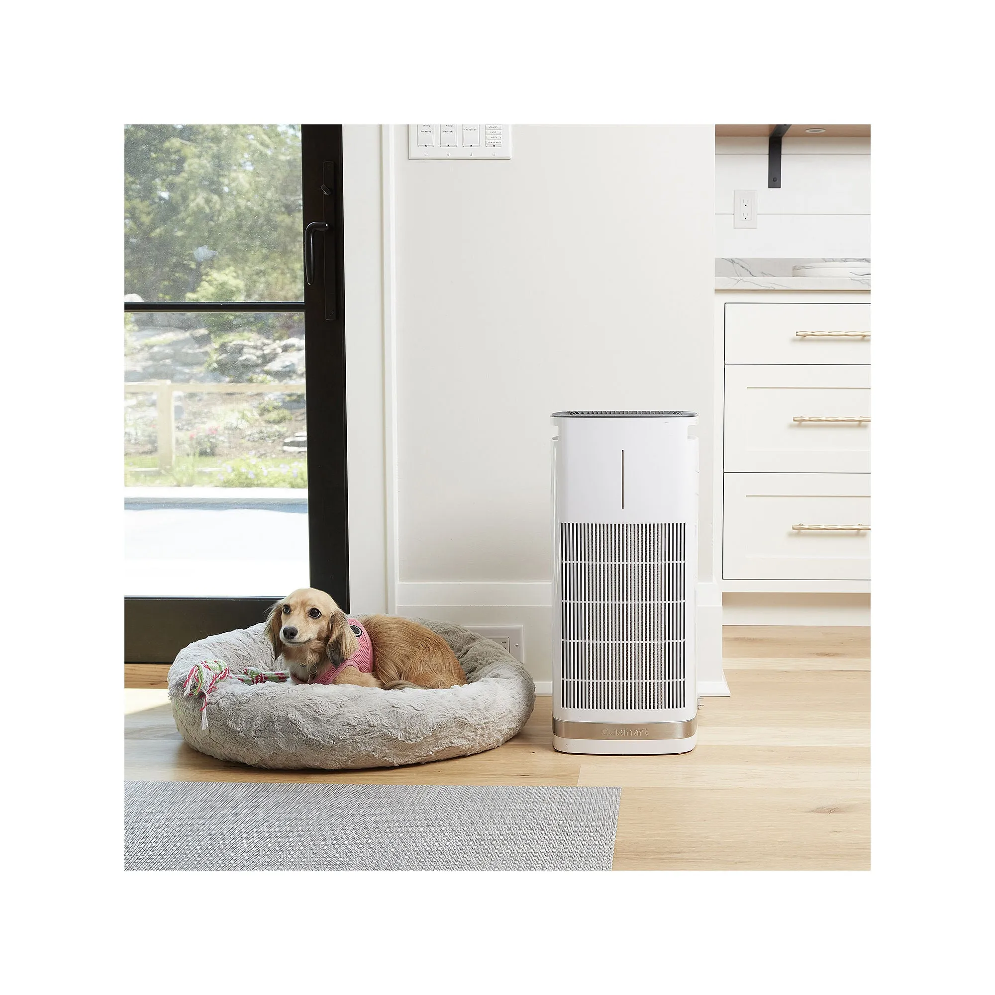 Cuisinart CAP-1000 PuRXium H13 HEPA Large Room Freestanding Air Purifier, White