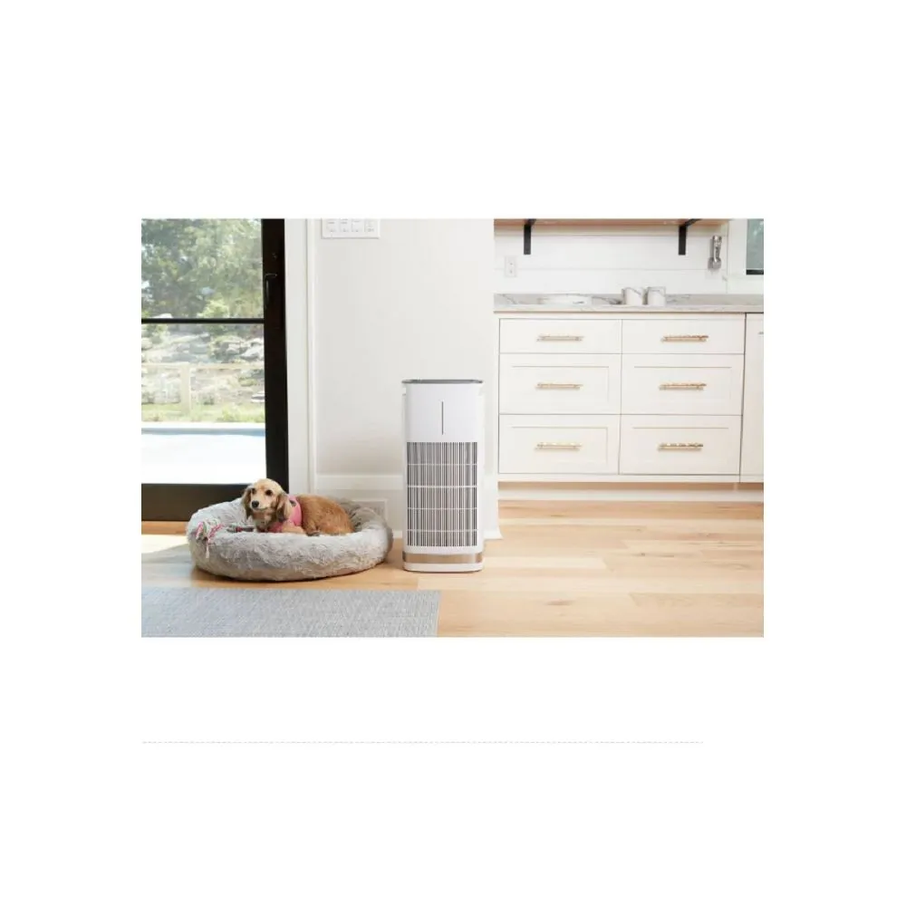 Cuisinart CAP-1000 PuRXium H13 HEPA Large Room Freestanding Air Purifier, White