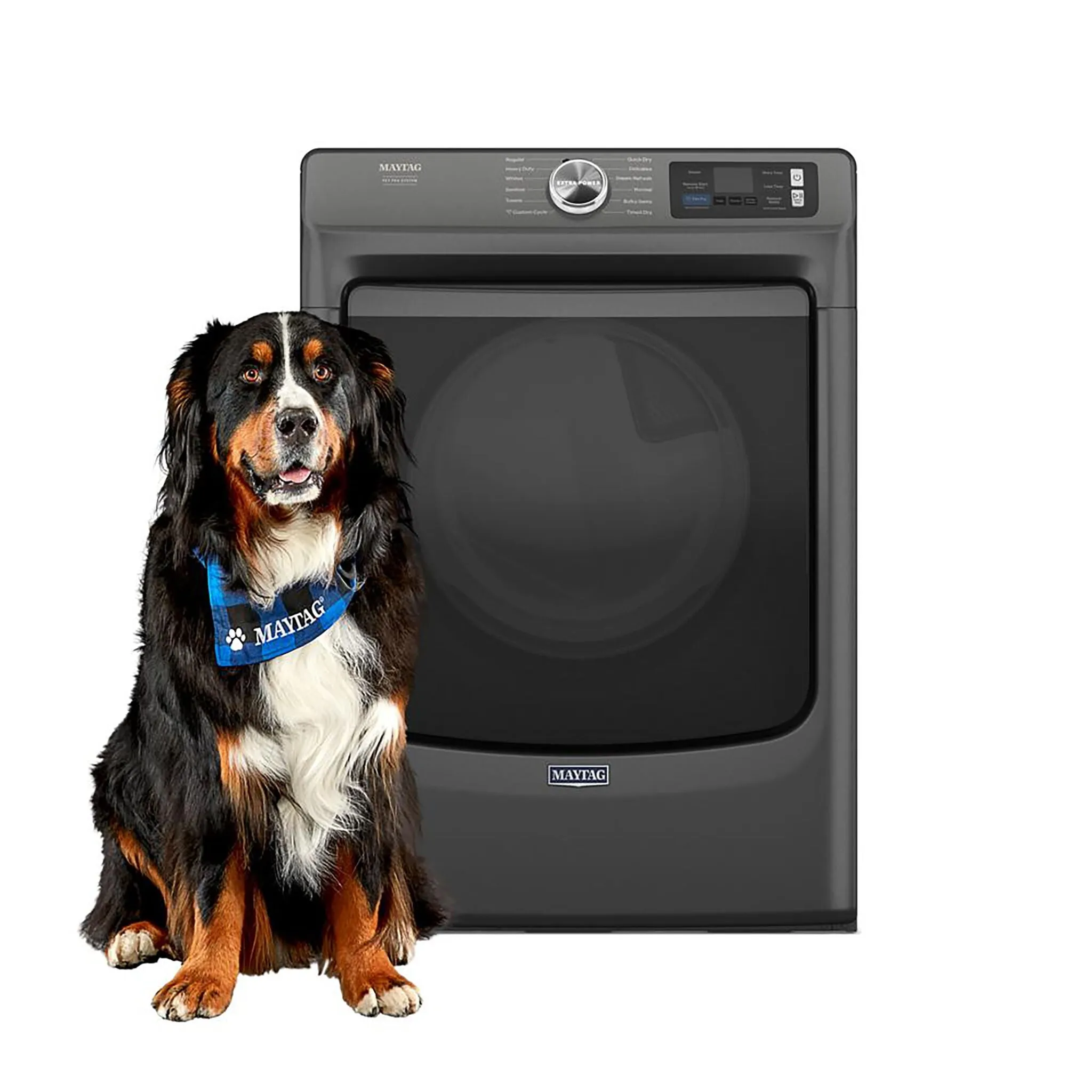 Maytag Volcano Black Electric Dryer with Pet Pro (7.4 Cu.Ft.) - YMED7020RU