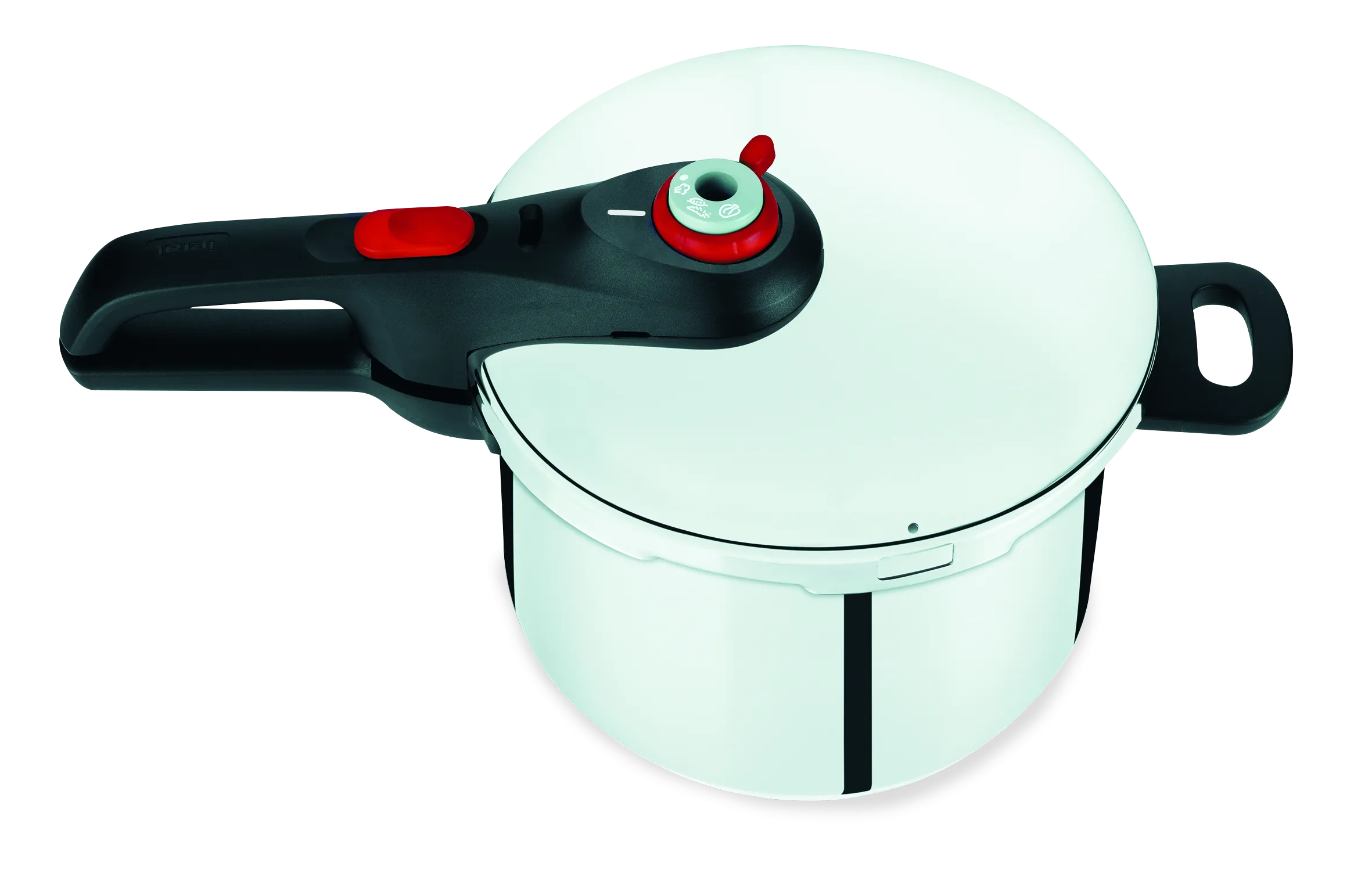 User manual and frequently asked questions Tefal Fast & Easy Induction Stainless Steel Pressure Cooker 6L