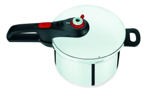 User manual and frequently asked questions Tefal Fast & Easy Induction Stainless Steel Pressure Cooker 6L